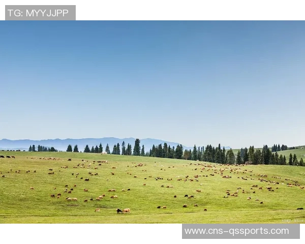 沙特阿拉伯足球崛起之路:从传统到现代化的全新挑战与机遇 沙特阿拉伯足球崛起之路:从传统到现代化的全新挑战与机遇