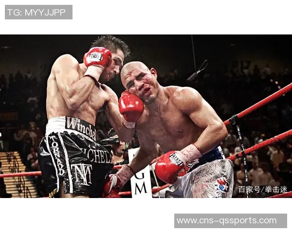 库托与马加里托的巅峰对决谁能在拳坛中脱颖而出